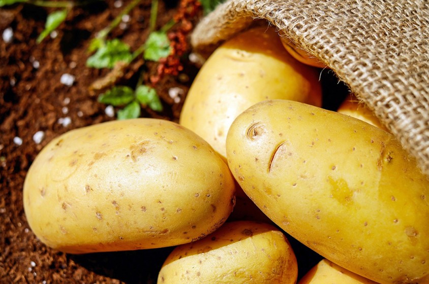 La patata