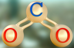 Magica anidride carbonica