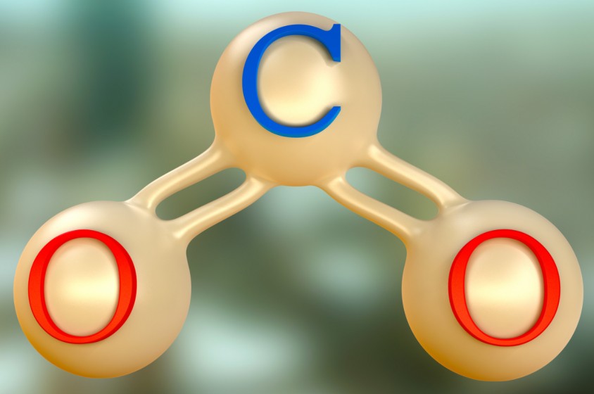 Magica anidride carbonica