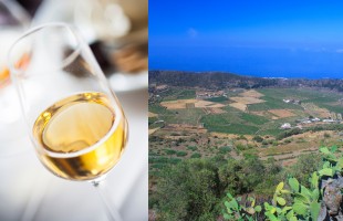 I vini di Pantelleria
