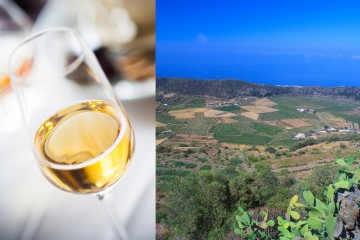 I vini di Pantelleria