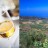 I vini di Pantelleria