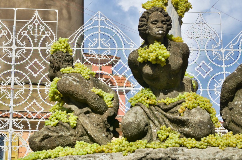 Er vino de Marino