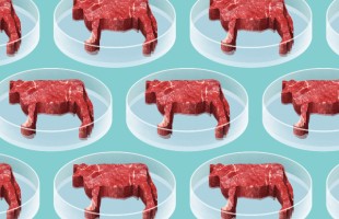 Quando la carne si fa &ldquo;in provetta&rdquo;