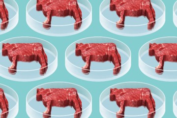 Quando la carne si fa &ldquo;in provetta&rdquo;