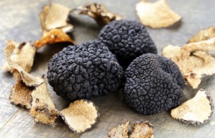 Curiosando sul tartufo