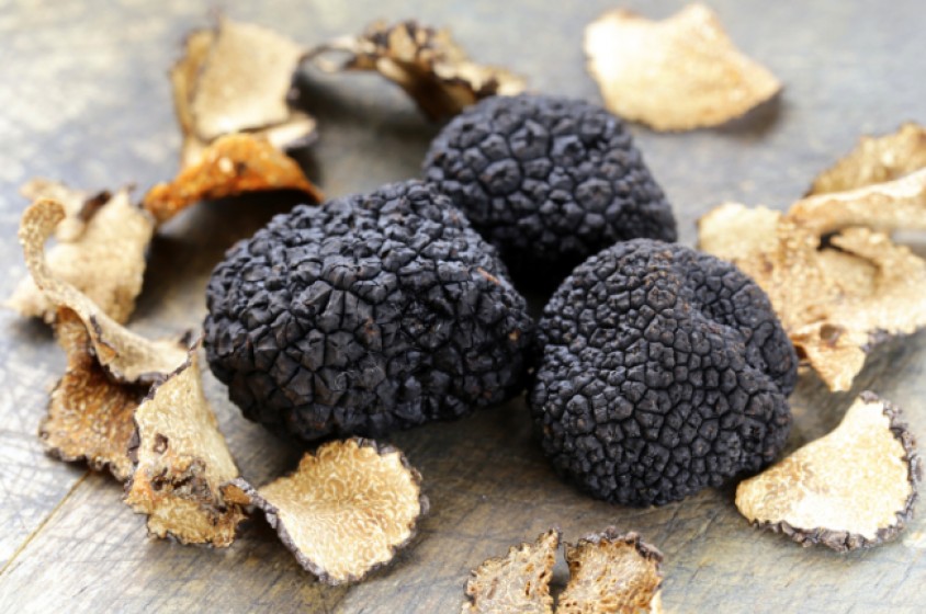 Curiosando sul tartufo