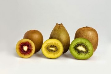 Tutti i colori del kiwi