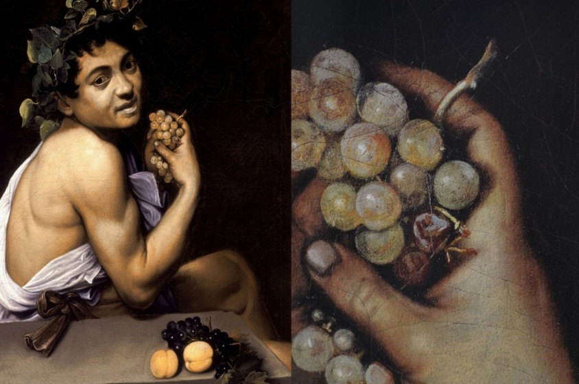 L&rsquo;enigma dei Frutti di Vini