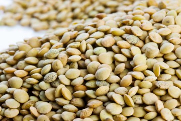 Le lenticchie della Tuscia