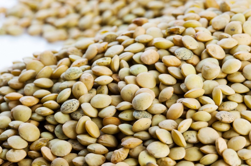 Le lenticchie della Tuscia