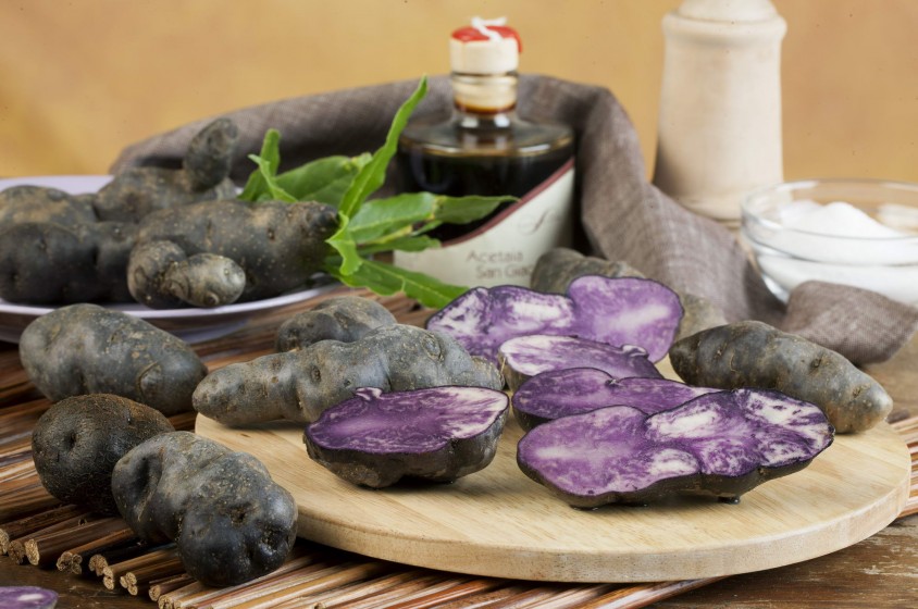 Le patate Lady Viola 