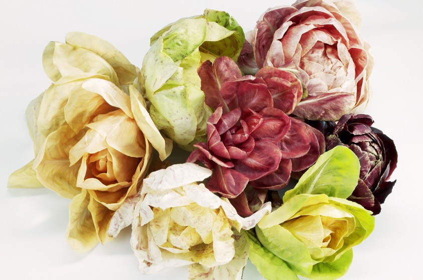Il radicchio