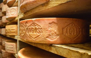 Il formaggio Bagoss