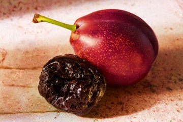 Prugne della California