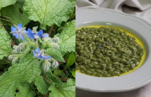 In cucina con la borragine 