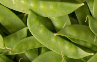 In cucina con le taccole 