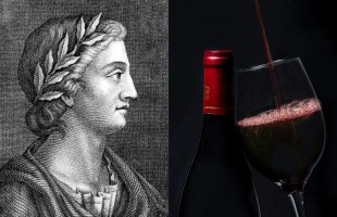 Il vino dell&rsquo;amicizia 