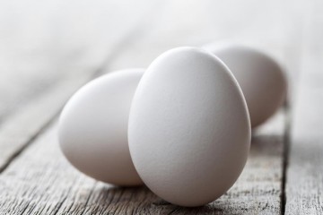 L’uovo sostenibile 