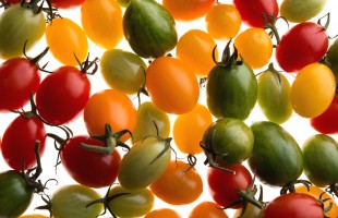 La nuova vita gastronomica del pomodoro