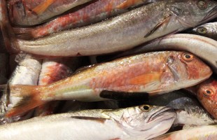 In cucina con le triglie 