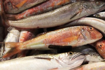 In cucina con le triglie 