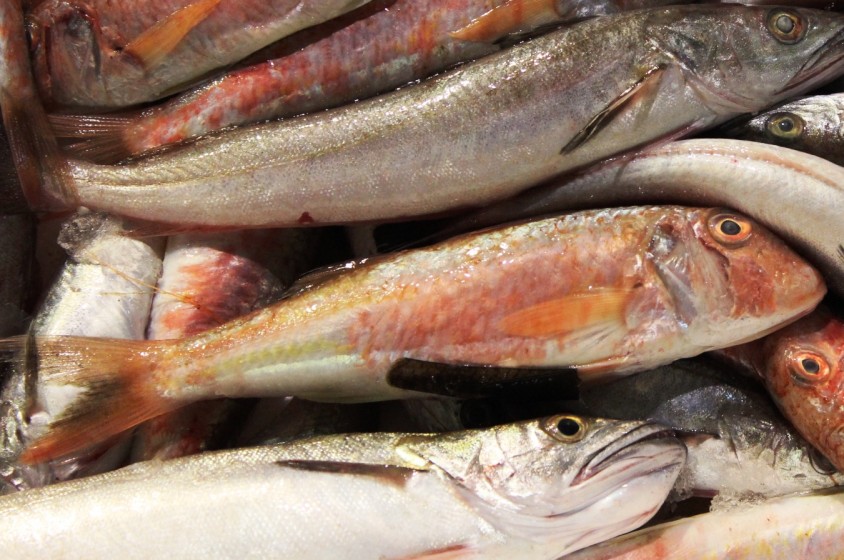 In cucina con le triglie 