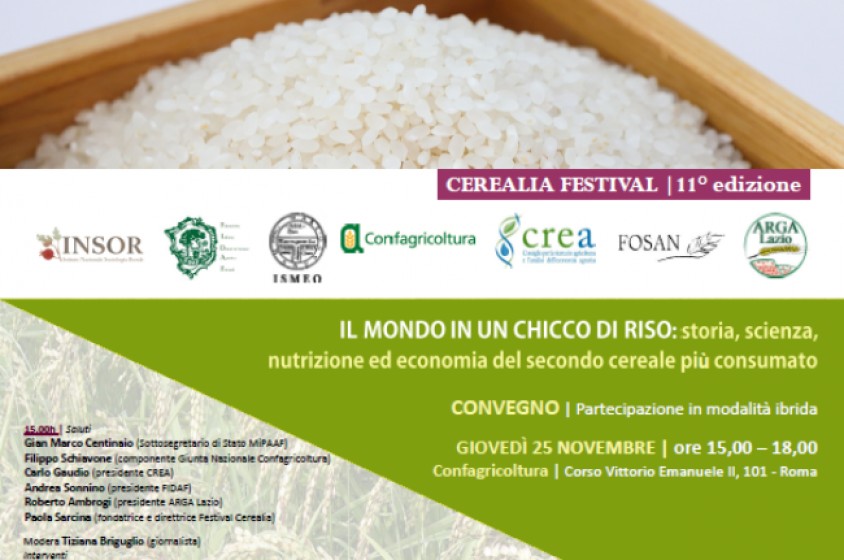 Il mondo in un chicco di riso