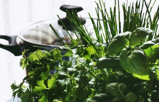 Verde pi&ugrave; verde