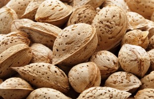 Frutta secca per la buona salute