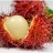 Cos'&egrave; il rambutan?