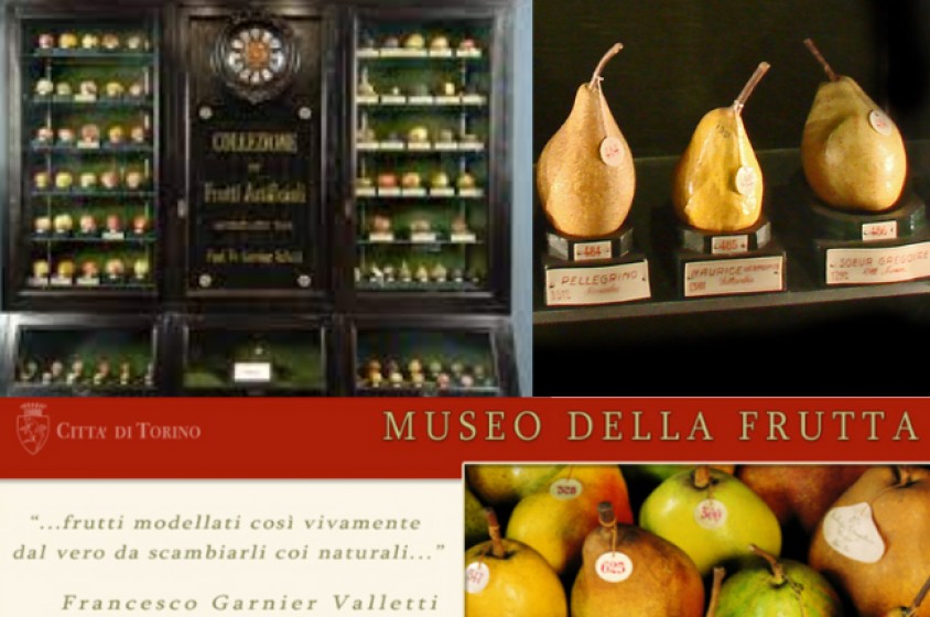 Al Museo della Frutta
