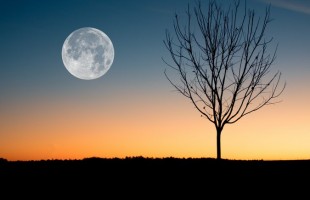 Spunta la luna