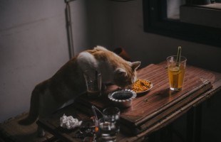 Un malfattore in cucina
