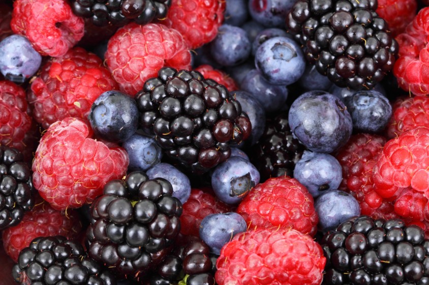 Un mondo di "bacche"