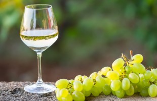 Un bicchiere di vino Frascati