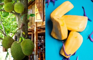 Potere al jackfruit