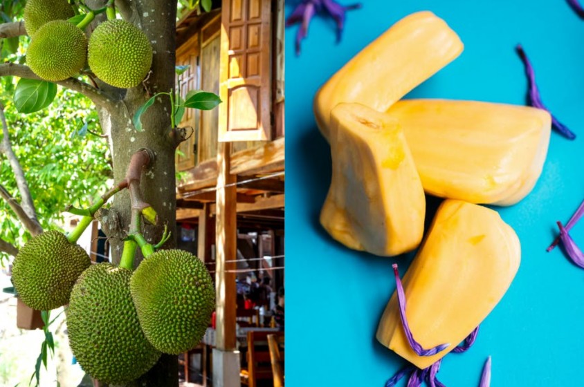 Potere al jackfruit