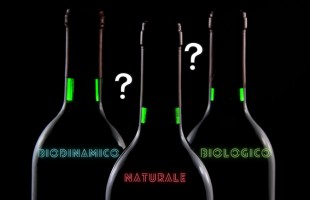 Orientamento alla scelta del vino