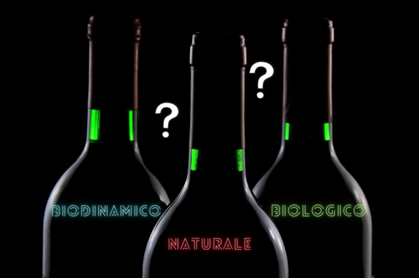 Orientamento alla scelta del vino
