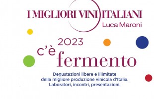 I Migliori Vini Italiani 2023