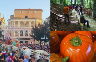 Il rito arboreo di Rotonda