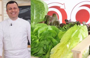La cura dell&rsquo;insalata