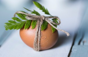 Buona Pasqua 2023 da Fabio Campoli