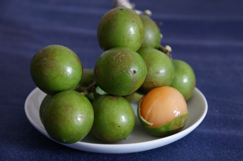 Cos'&egrave; il mamoncillo?