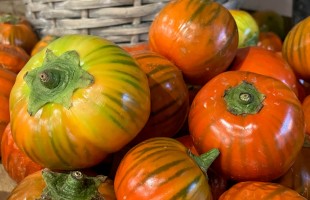 La melanzana rossa di Rotonda DOP 