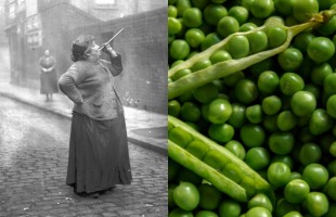 Il buongiorno si vede dai&hellip; piselli