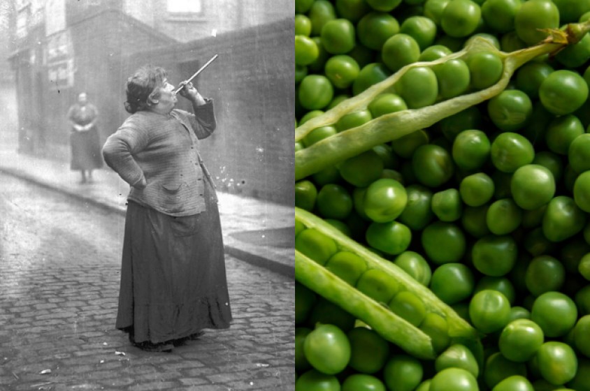 Il buongiorno si vede dai&hellip; piselli