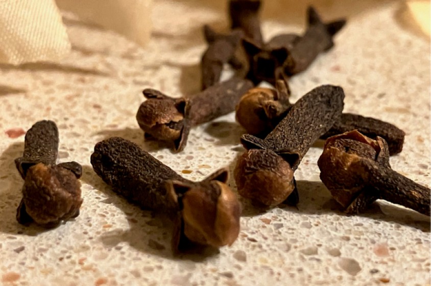 I chiodi di garofano