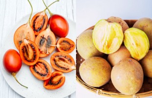 Tamarillo & Sapodilla